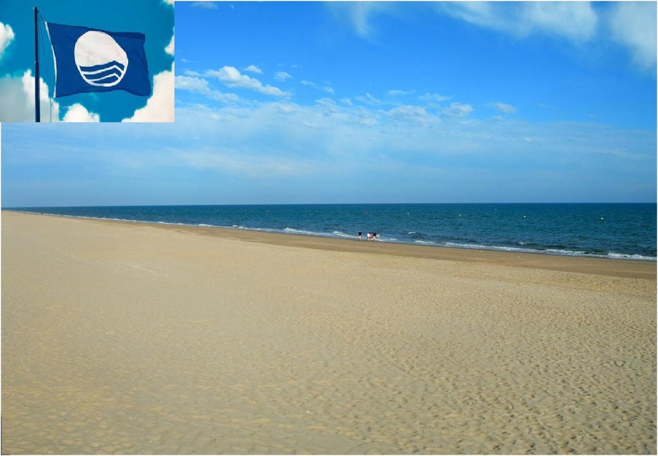 Apartamento Cerca Del Mar Oliva Εξωτερικό φωτογραφία